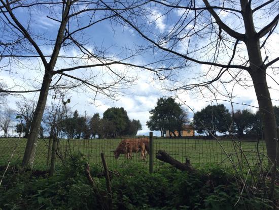 Via Verde la Camocha